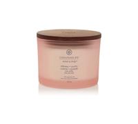 Chesapeake bay candle Bougie Calme et Pureté 312,0 g