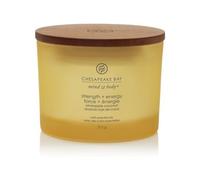 Chesapeake Bay Strength + Energy Bougie parfumée avec 3 mèches 312 g