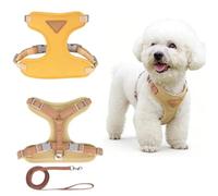 Chesoon Ensemble harnais et laisse pour chien - Bretelles larges réglables en maille respirante pour animaux de compagnie - Beige - XS - 2 à 3 kg