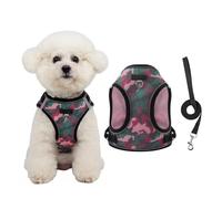 Chesoon Ensemble harnais et laisse réglables anti-évasion pour promenade facile pour les vacances d'été, la promenade des petits chiens, noir, taille S, 1,5 à 3 kg