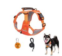 Chesoon Ensemble harnais pour chien anti-fugue réglable avec bouton poussoir lumière LED réfléchissante 7,5 à 14 kg Noir Taille M