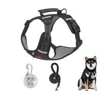 Chesoon Ensemble harnais pour chien anti-fugue réglable avec bouton poussoir lumière LED réfléchissante, 7,5 à 14 kg, orange, taille M