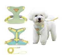Chesoon Harnais pour chien avec sangles larges réglables en maille respirante douce pour petits animaux de compagnie pour la marche et le dressage Vert Taille XS
