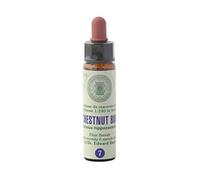 Chestnut Bud n° 7 Fleur de Bach farmaflor, 1 Flacon Comtpe Gouttes 10ml - Made in Italy