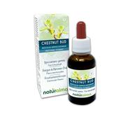 Chestnut bud ou Marronnier d'Inde Bourgeon (Aesculus hippocastanum) Fleurs émotionnelles ou Fleurs de Bach Naturalma - Gouttes 30 ml - Extrait alcoolique liquide - Végane - Formule originale au Brandy