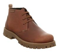 Cheston 03 castagne 41