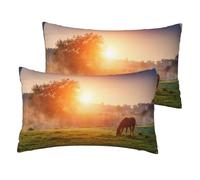 Cheval au crépuscule,Housse de Coussin décorative en Polyester, Douce, 30 x 50 cm