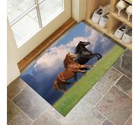 Cheval Au Galop Paillasson Intérieur Tapis 40 X 60 Cm Entrée Intérieur,Antidérapant,Absorbant,Tapis pour Entrée,Lavable,Cuisine,Salle De Bain-Couleurs Mélangées Animaux des Prairies