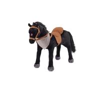 Cheval avec son - cheval noir ross