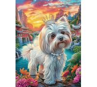 Cheval Blanc au Coucher de Soleil sur l'océan 300 Pièces Puzzle Famille en Carton Rigide Difficulté Moyenne Activité Familiale Anti-Stress Loisir Créatif Idée Cadeau Anniversaire Premium 300 PCS