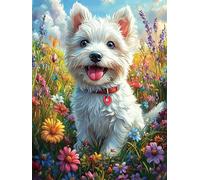 Cheval Blanc au Coucher de Soleil sur l'océan 500 Pièces Puzzle Adulte en Carton Rigide Haute Qualité Très Difficile Haute Difficulté Anti-Stress Décoration Murale Idée Cadeau Premium 500 PCS