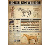 Cheval Connaissance Métal AS Anatony Drôle Affiche Club Salon Cuisine Salle de Bain Maison Art Mural Décoré Plaque Cadeau Étain Signe 8x12 Pouces