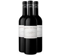 Cheval des Andes Argentine - Rouge 2020 - Vin Rouge d'Argentine (3x75cl)