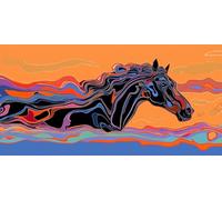 Cheval Diamond Painting Enfant, RêVe Diamond Painting, Peinture Diamant Kit Complet, Full Drill Cristal Point De Croix Fabrication De MosaïQues Artisanat, Cadeaux DéCoratifs Femmes 180x90cm T-Z516