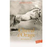 Cheval d'Orage Lauren St John (Auteur), Alice Marchand (Traduction)