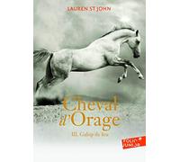 Lauren St John – Cheval d'Orage, Tome 3 : Galop de feu – Traduit par Alice Marchand – Gallimard