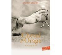 CHEVAL D'ORAGE T3