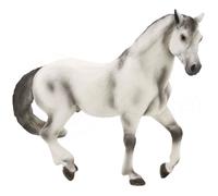 Cheval Etalon Andalou gris