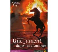 Cheval fantome t.3 une jument dans les flammes