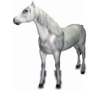 Cheval gris avec cheveux humains 220cm de large Figurine de décoration/publicitaire - GFK - grandeur nature - pour l'extérieur