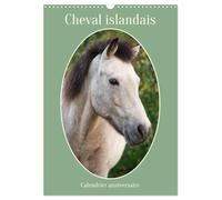 Cheval islandais - Calendrier anniversaire (Calendrier mural 2026 DIN A3 vertical), CALVENDO calendrier mensuel