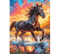 Cheval Noir galopant dans Une Lueur Ardente Magique Puzzle 1000 Pièces pour Adultes Design Moderne Educa Jeu De Réflexion Relaxation Art Cadeau De Fête Famille 1000 PCS