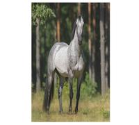 Cheval Puzzles Adulte 1000 Pieces Cadeau Famille Puzzle Classique 3D Puzzle EnfantsJouet en Bois Cadeau Unique Décoration Intérieure （78×53cm）