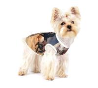 Cheval Sauvage Courant Contre Une tempête de Sable,T-Shirt sans Manches en Coton pour Animaux de Compagnie, Gilet Respirant, Extensible et Doux,S