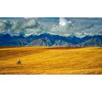 Chevauchée dans des prairies dorées au Pied de Montagnes enneigées - Puzzle de 2000 pièces - Puzzle pour Toute la Famille - 70 x 100 cm