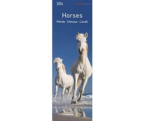 Chevaux 2024 - Marque-page - 5,5 x 16,5 cm - Horses - Calendrier animaux - Aide à la lecture Alpha Edition