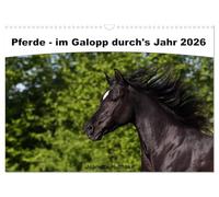Chevaux - au galop à travers l'année 2026, Version française (Calendrier mural 2026 DIN A3 portrait), Calendrier CALVENDO mensuel
