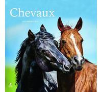 Chevaux - Calendrier 2025