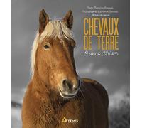 Chevaux de terre et vent d'hiver