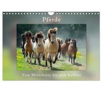 Chevaux Du minishetty au sang froid, Version française (Calendrier mural 2026 DIN A4 portrait), Calendrier CALVENDO mensuel