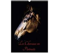 Chevaux En Portraits (Calendrier Mural 2017 Din A3 Vertical)