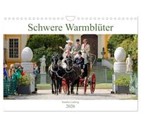 Chevaux lourds à sang chaud 2026, Version française (Calendrier mural 2026 DIN A4 portrait), Calendrier CALVENDO mensuel