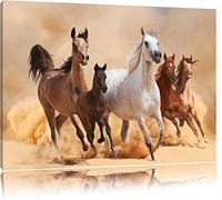 Chevaux occidentaux dans le désert avec poulain Format: toile 120x80auf, XXL énormes Photos complètement encadrés par la civière, l'impression de l'image Art mural avec cadre, moins cher que peintures à l'huile et de l'image, aucune affiche ou poster