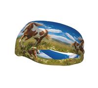 Chevaux on the Prairie Bandeau élastique pour le basket-ball Fitness Unisexe Sport Course Cyclisme Yoga Bande absorbant la transpiration