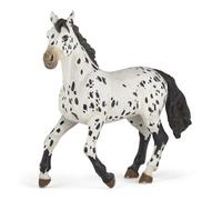 CHEVAUX, POULAINS ET PONEYS Cheval appaloosa noir