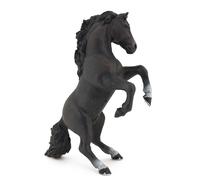 Chevaux, Poulains Et Poneys Cheval Cabré Noir
