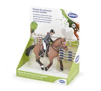 CHEVAUX, POULAINS ET PONEYS Cheval de concours et son cavalier