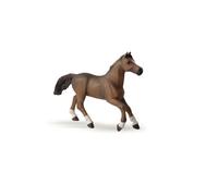 CHEVAUX, POULAINS ET PONEYS Jument anglo-arabe