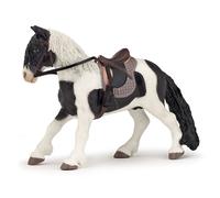 Chevaux, Poulains Et Poneys Poney Avec Selle