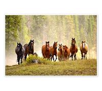 Chevaux sur une colline Poster de Adam Jones 90 x 60 cm Tableaux Décoration murale