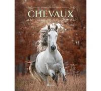 Emmanuelle Dal'Secco – Chevaux : un univers fabuleux – Dictionnaire et encyclopédie – Relié