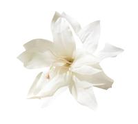 Cheveux Artificiels Femme 3pcs Fashion Elegance Lily Flower Hair Clip Girls Women Summer Beach Vacation Barrettes Multicolor Hairpin(White)