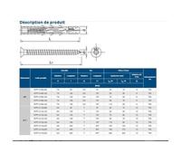 Chevilles nylon longues à vis FF1 10x160 en boîte de 25