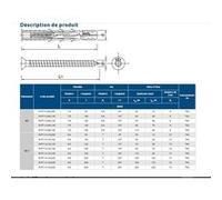 Chevilles nylon longues à vis FF1 10x160 en boîte de 25 Noir G