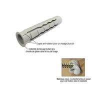 Chevilles polyvalentes - ING FIXATIONS - A170212 - Longueur 30mm - Diamètre 6mm - Boite de 100