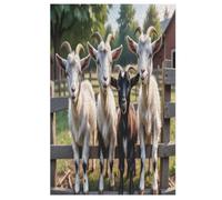 Chèvre Puzzles Adulte 1000 Pieces Cadeau Famille Puzzle Classique 3D EnfantsJouet en Bois Cadeau Unique （78×53cm）